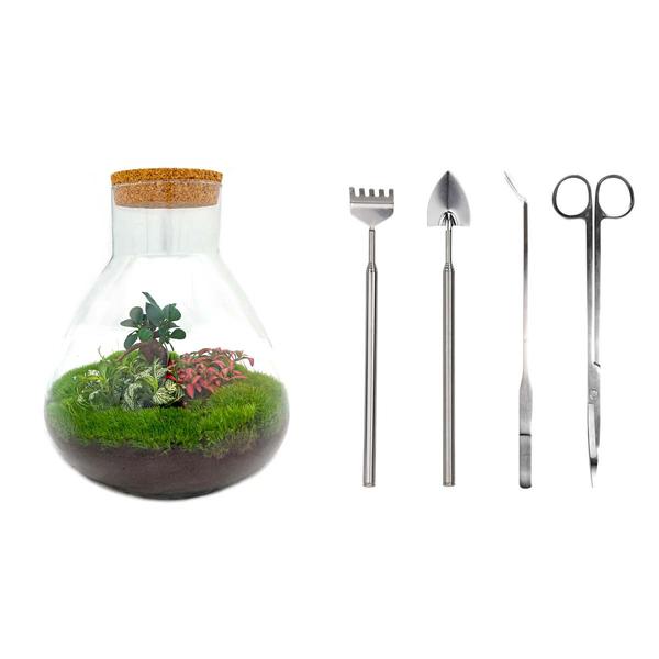 DIY terrarium - Sam XL Bonsai - ↕ 35 cm - Rake + Shovel + Tweezer + Scissors