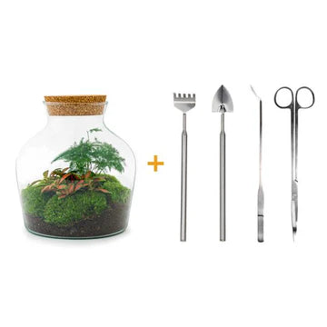 DIY terrarium - Little Joe - ↕ 21.5 cm