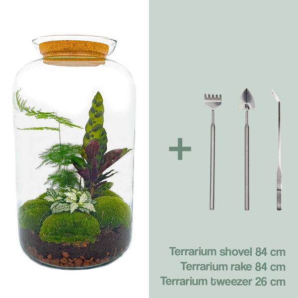 DIY-Terrarium - Botanical Sven XL - ↕ 43 cm