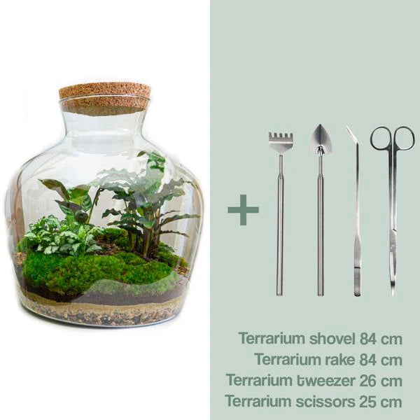 DIY terrarium -  Fat Joe - ↕ 30 cm