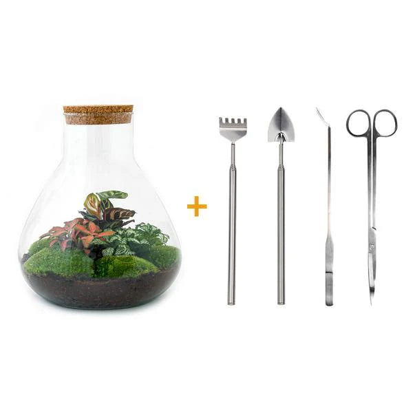 DIY terrarium – Sammie – ↕ 27 cm