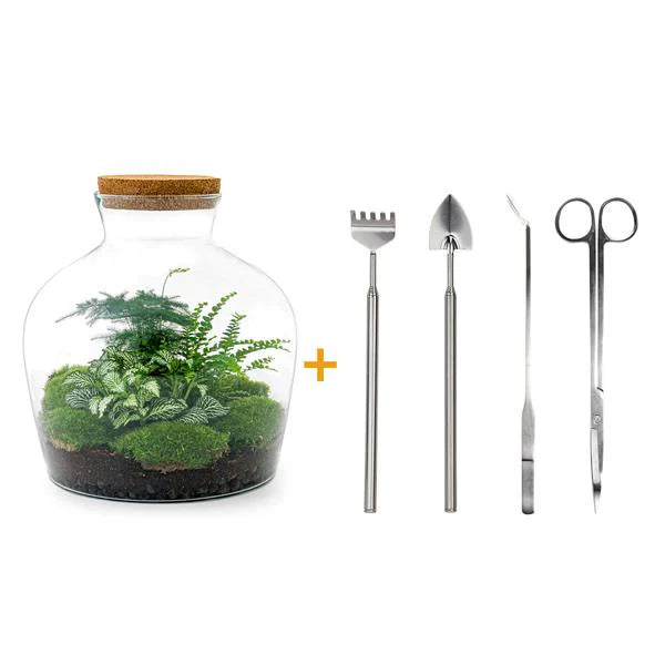 DIY terrarium - Fat Joe Groen - ↕ 30 cm