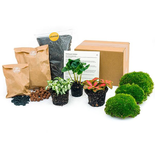 Plant terrarium package Coffea Arabica - Refill & Starter package - DIY