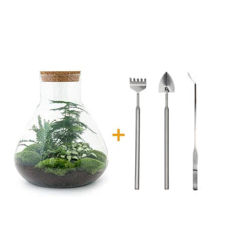 DIY-Terrarium - Sam XL - ↕ 35 cm