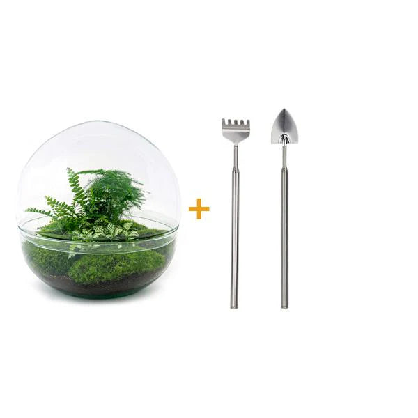 DIY terrarium - Dome XL - ↕ 30 cm