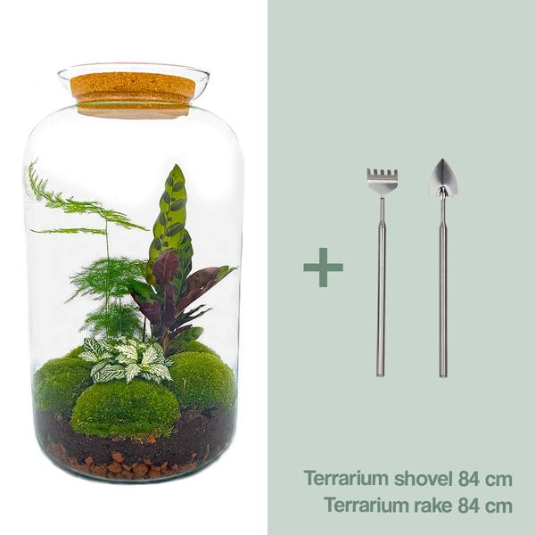 DIY terrarium - Botanical Sven XL - ↕ 43 cm