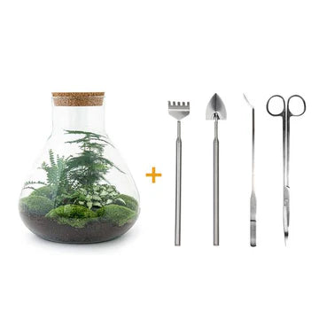 DIY-Terrarium - Sam XL - ↕ 35 cm