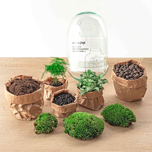 DIY Terrarium - Ei XL - ↕ 30 cm