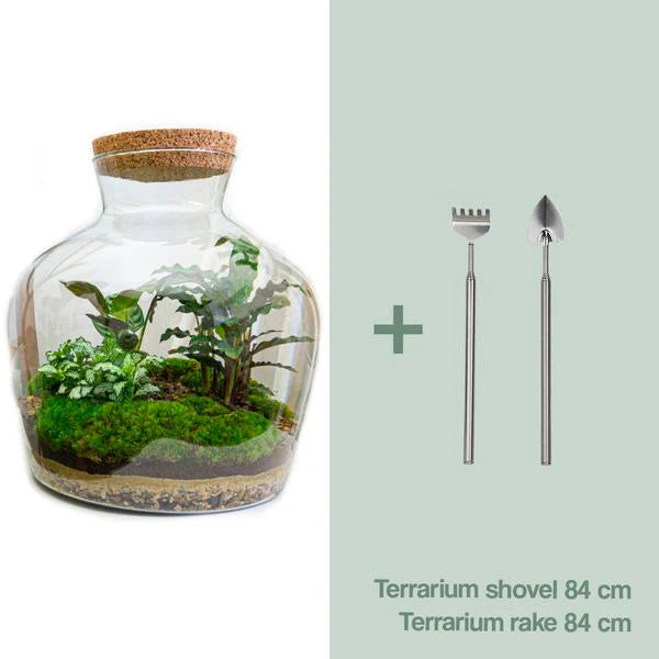 DIY terrarium -  Fat Joe - ↕ 30 cm