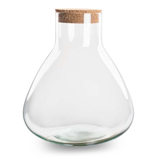 Terrarienflasche mit Korken - Erlenmeyer XL - ewiges Terrarium ↑ 32 cm