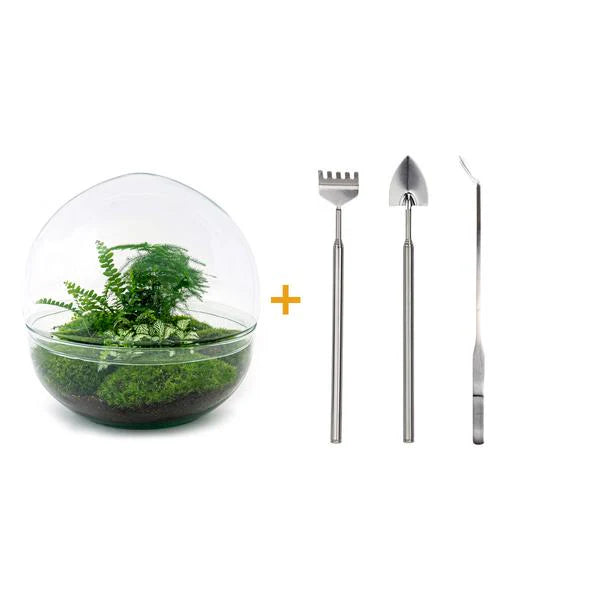 DIY terrarium - Dome XL - ↕ 30 cm