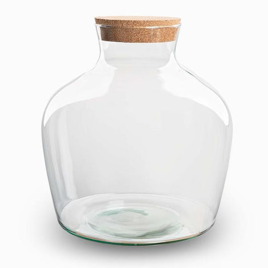 Terrarienflasche mit Korken - 'Fat Joe' - ewiges Terrarium ↑ 30 cm