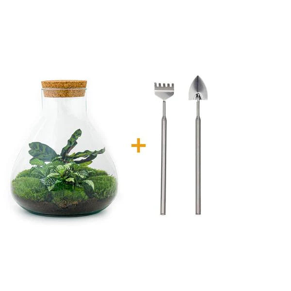 DIY Terrarium – Sammie – ↕ 27 cm