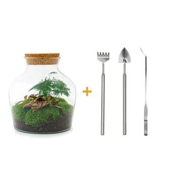 DIY-Terrarium - Little Joe - ↕ 21,5 cm