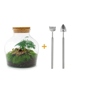 DIY-Terrarium - Little Joe - ↕ 21,5 cm