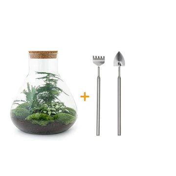 DIY-Terrarium - Sam XL - ↕ 35 cm